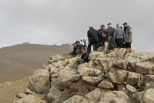 Proyecto internacional para controlar la sarna en ungulados salvajes de Kirguizstan