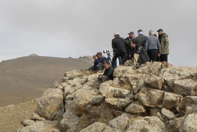 Proyecto internacional para controlar la sarna en ungulados salvajes de Kirguizstan