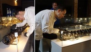 Investigador revela los inicios del armamento español en América