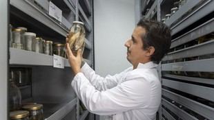 Colombia y Alemania se unen para acelerar el descubrimiento de especies