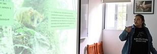 Estudiante investiga la salud de la Marmosa mexicana en Xalapa