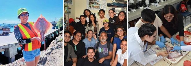 Estudiantes de la UV se capacitan en biología de rayas y tiburones
