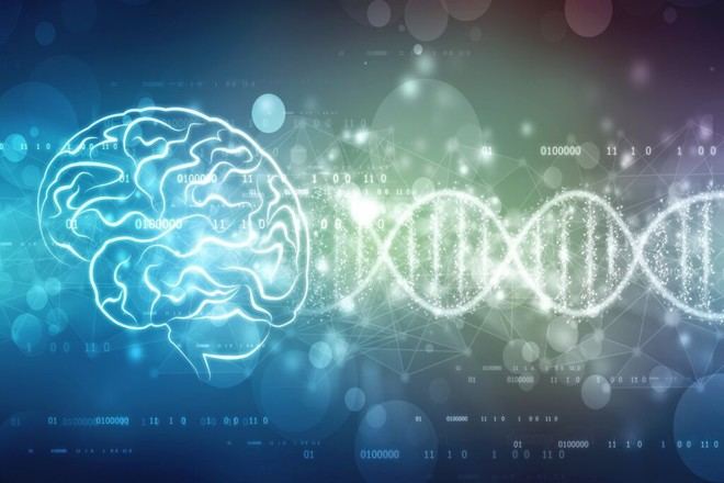 El Alzheimer afecta el control de la expresión genética en las células cerebrales, comprometiendo la función cognitiva