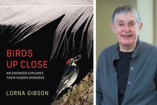Ingeniera de MIT publica libro sobre la mecánica de las aves