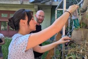 RWTH Aachen y socios internacionales innovan en tecnología para jardines verticales