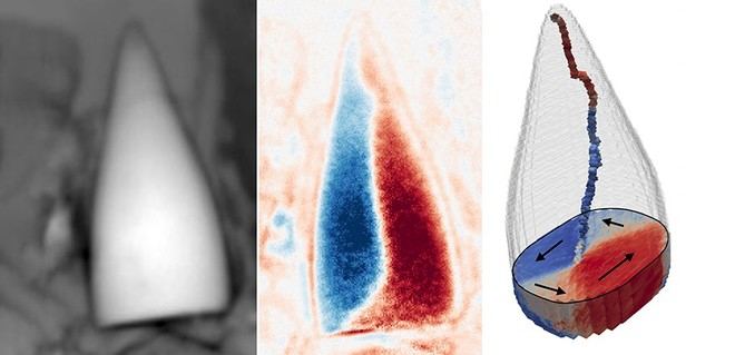 Identifican un antiguo sistema de navegación en fósiles magnéticos