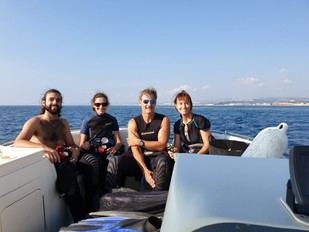 Andalucía revela cómo el alga asiática se multiplica asexualmente