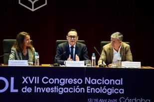 Andalucía cuenta con 20 grupos de investigación sobre vino