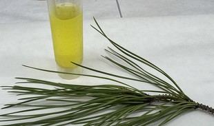 Desarrollan un nanosensor para detectar biomarcadores en enfermedades neurodegenerativas