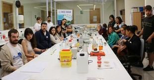 Apicultores y cárnicos exploran el uso del propóleo como conservante en la ULE