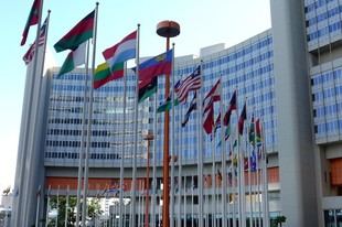 Pedreschi se une a un llamado global para establecer límites en la inteligencia artificial