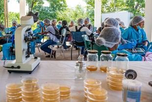 Ministerio de Educación lanza Clubes de Ciencia en seis departamentos