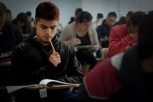 Más de 235 mil estudiantes se preparan para las pruebas Saber Pro y TyT