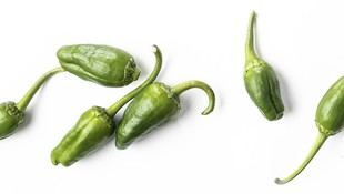 Las Indicacións Xeográficas fortalecen la agricultura local en Galicia