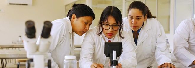 Universidad Veracruzana otorga becas a todos los nuevos estudiantes de posgrado