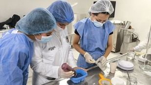 Aula Viva transforma la educación universitaria en la UNAL Sede Orinoquia