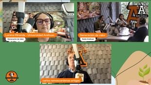 Proyectos STEM: Transformando la educación en colegios