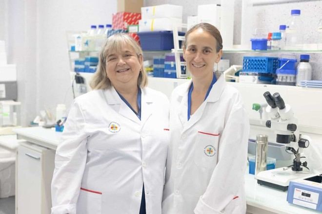 Investigadores descubren inhibidores que protegen los conos de la retina en enfermedades degenerativas