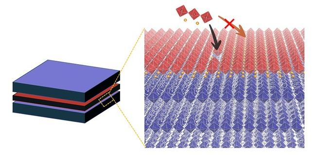 Investigadores desarrollan un 'sándwich energético' que podría revolucionar la energía solar y la iluminación