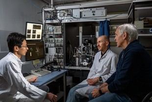 Confirman la teoría de la percepción visual tras seis décadas de debate científico