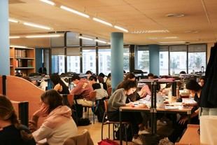 Bibliotecas llenas y aulas vacías en la Universidad de León durante exámenes