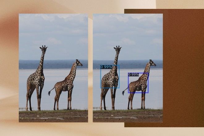 Inteligencia Artificial para la conservación de jirafas en Tanzania