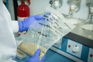 Proyecto BIOTER-Lab convertirá materiales forestales en productos industriales valiosos