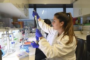 BIP Acceleration ofrece 10.000 euros para impulsar proyectos científicos en la U.Porto