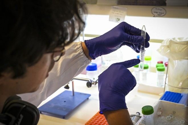 BIP PROOF destina más de 100 mil euros a 11 proyectos innovadores de la U.Porto