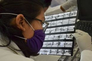BUAP ofrece ingreso directo a 99 programas académicos para aspirantes