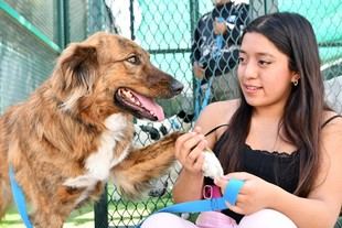 CAETO promueve el bienestar de perros rescatados en terapia ocupacional
