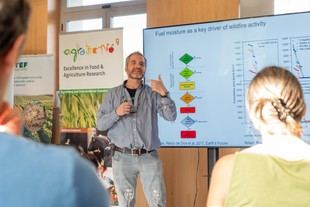 Desarrollan un modelo para prevenir incendios forestales con imágenes térmicas satelitales