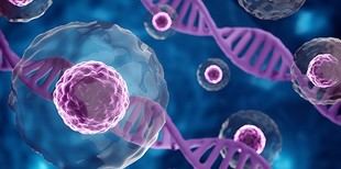 Cambridge y GSK establecen alianza para investigar células y tejidos en enfermedades