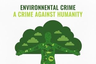 Lanzan campaña global para clasificar el ecocidio como crimen contra la humanidad