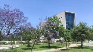 Audiência pública para la candidatura a Rector el 16 de septiembre de 2025