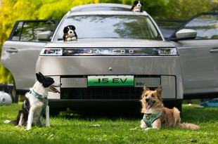 JAECOO lanza un SUV pensado para viajar cómodamente con mascotas
