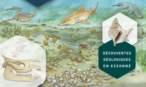 Exposición sobre 30 millones de años de historia geológica en Essonne