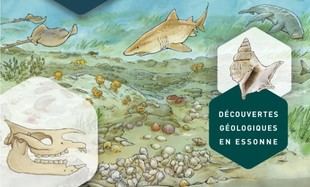 Exposición sobre 30 millones de años de historia geológica en Essonne