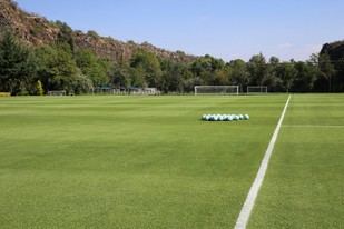 Césped de estadios se transforma en laboratorios de alto rendimiento