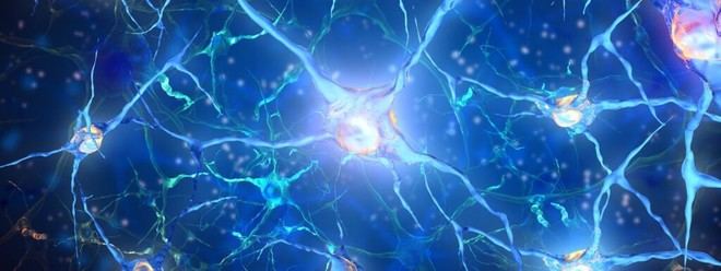Investigadores de Oxford descubren un nuevo objetivo genético para tratar el dolor crónico