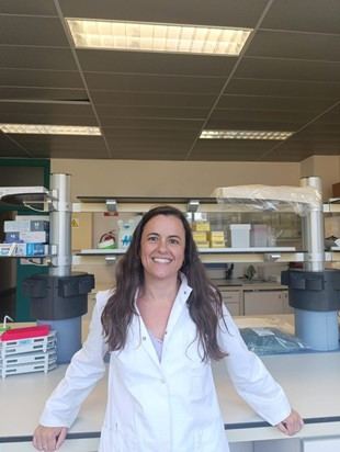 Desarrollan un tratamiento innovador con purines de cerdo para reducir la contaminación ambiental