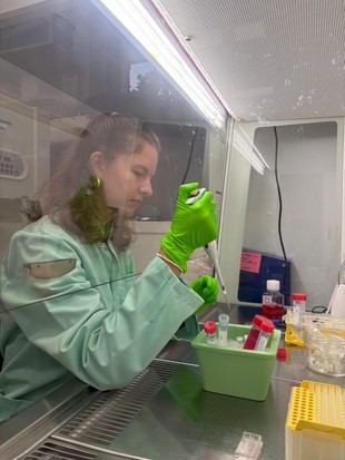 Investigadores de la Universidad de Sevilla y el INRAE descubren una molécula que refuerza las defensas intestinales