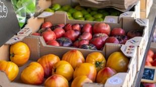 Investigadores de Almería perfeccionan la detección de pesticidas en alimentos para mejorar la seguridad alimentaria