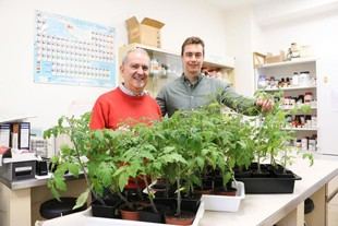 Investigadores de la ULE descubren que algunas plantas se mueven más rápido que un parpadeo