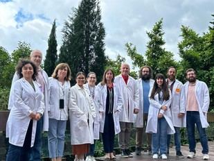 Descubren una nueva diana inmunológica en la leucemia linfática crónica en adultos