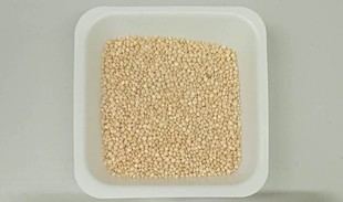 Identifican variedades de quinoa andaluzas con alto contenido en vitamina E y grasas saludables