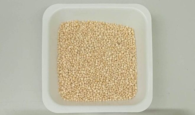 Identifican variedades de quinoa andaluzas con alto contenido en vitamina E y grasas saludables