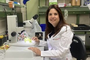Nuevas variedades de quinoa en Andalucía con más vitamina E y grasas saludables