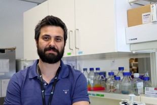 Científicos del i3S hallan un mecanismo que previene errores en la división celular