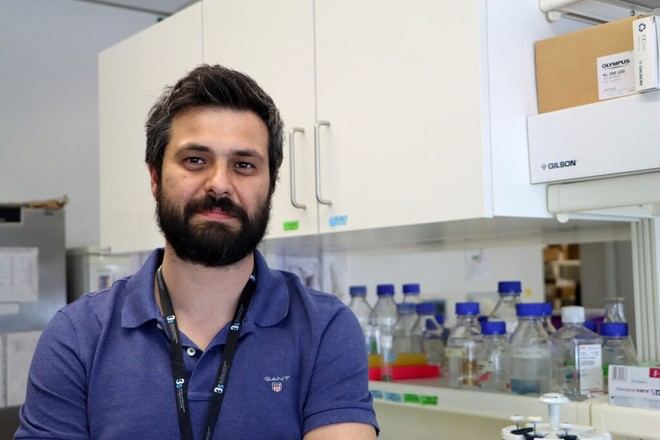 Científicos del i3S hallan un mecanismo que previene errores en la división celular